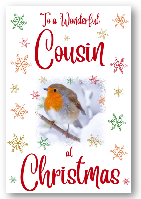 Second Ave Cousin Christmas Robin Xmas Holiday Festive Greetings Card