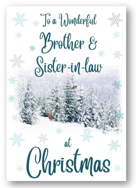 Second Ave Brother & Sister-in-Law Christmas Winter Scene Xmas Holiday Festive Greetings Card
