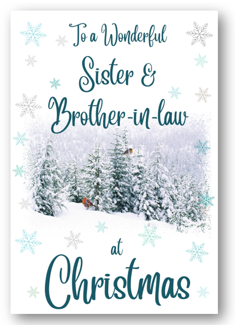 Second Ave Sister & Brother-in-Law Christmas Winter Scene Xmas Holiday Festive Greetings Card