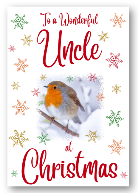 Second Ave Uncle Christmas Robin Xmas Holiday Festive Greetings Card