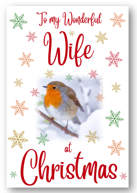 Second Ave Wife Christmas Robin Xmas Holiday Festive Greetings Card