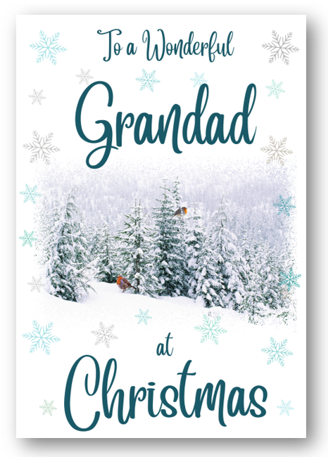 Second Ave Grandad Christmas Winter Scene Xmas Holiday Festive Greetings Card