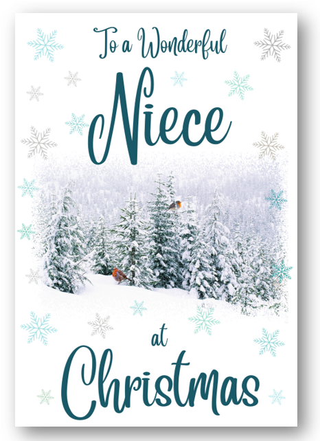 Second Ave Niece Christmas Winter Scene Xmas Holiday Festive Greetings Card