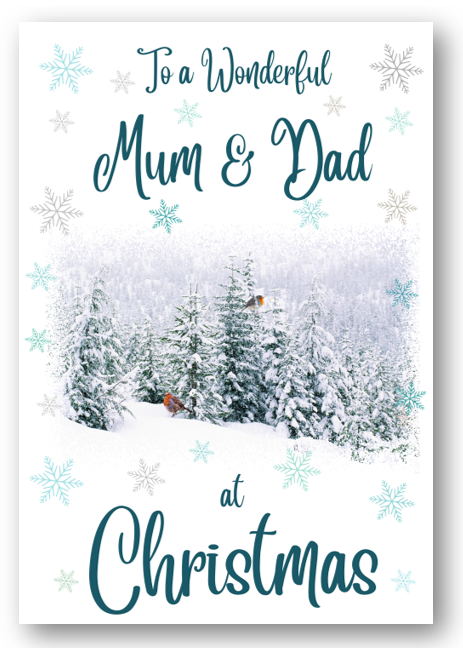 Second Ave Mum & Dad Christmas Winter Scene Xmas Holiday Festive Greetings Card