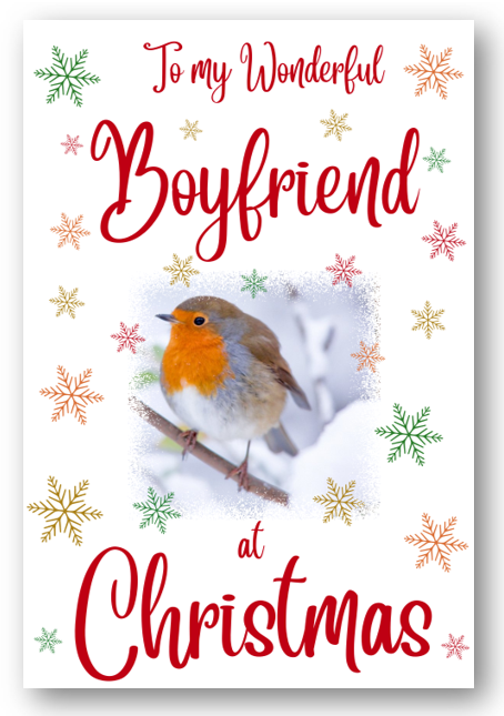 Second Ave Boyfriend Christmas Robin Xmas Holiday Festive Greetings Card